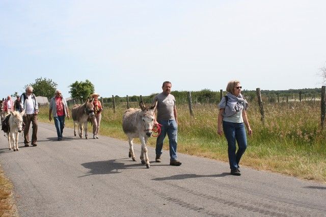 2015-07-06 rando anes (27).JPG